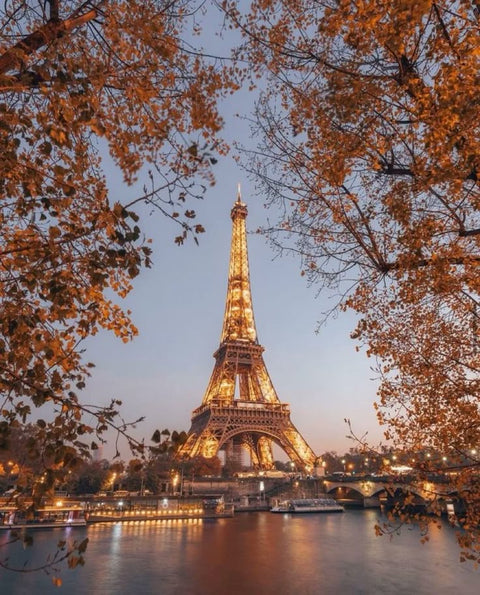 FRANCE 🇫🇷